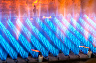 Danemoor Green gas fired boilers